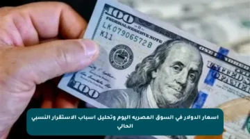 أسعار الدولار في السوق المصرية اليوم وتحليل أسباب الاستقرار النسبي الحالي